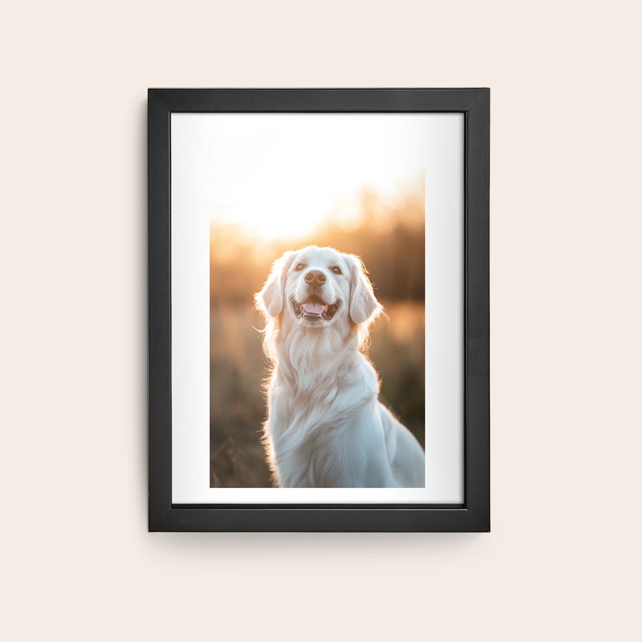 Foto enmarcado Póster personalizado con marco negro, impreso con la foto de un golden retriever sonriente y luz cálida.