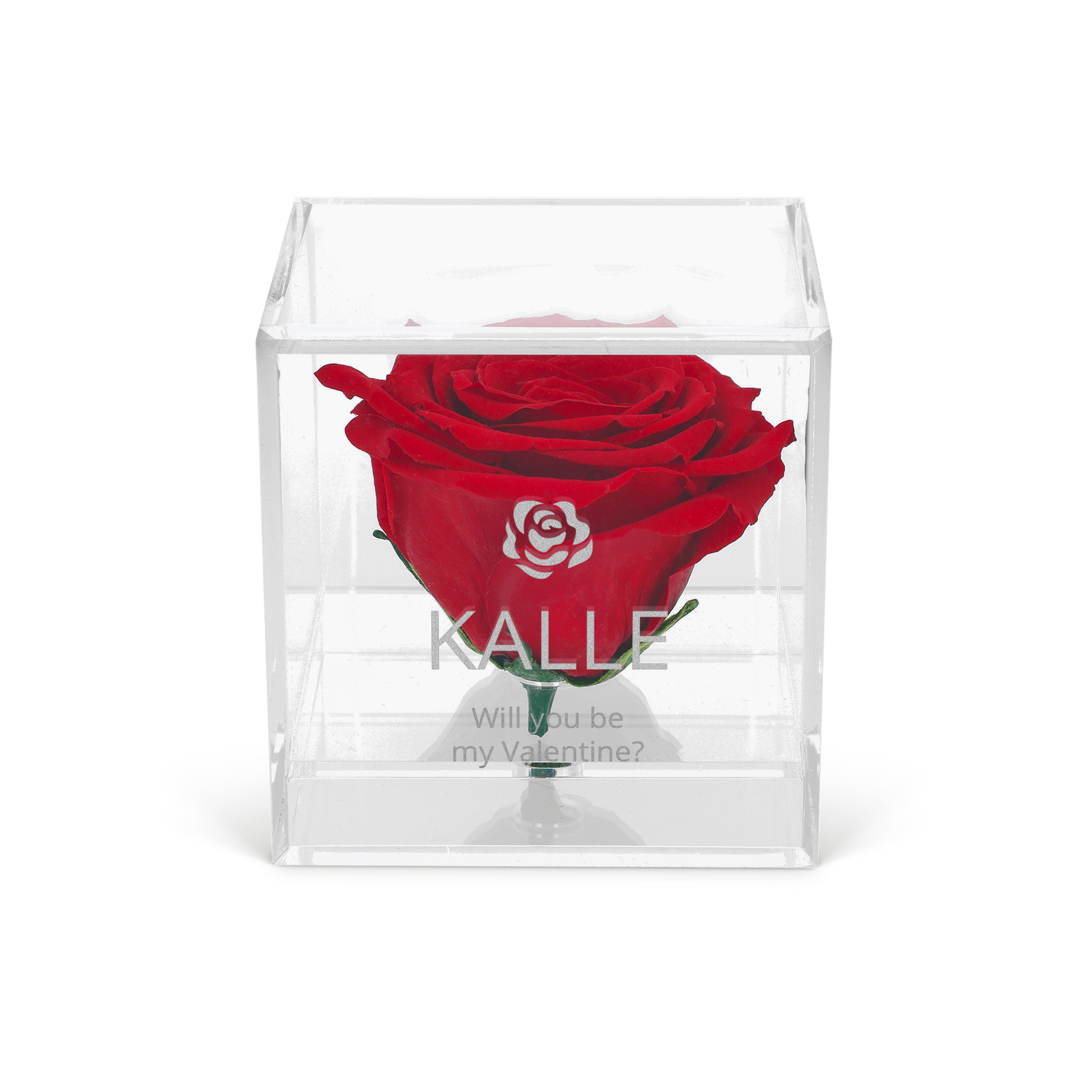 Evig ros i graverat plexiglasfodral