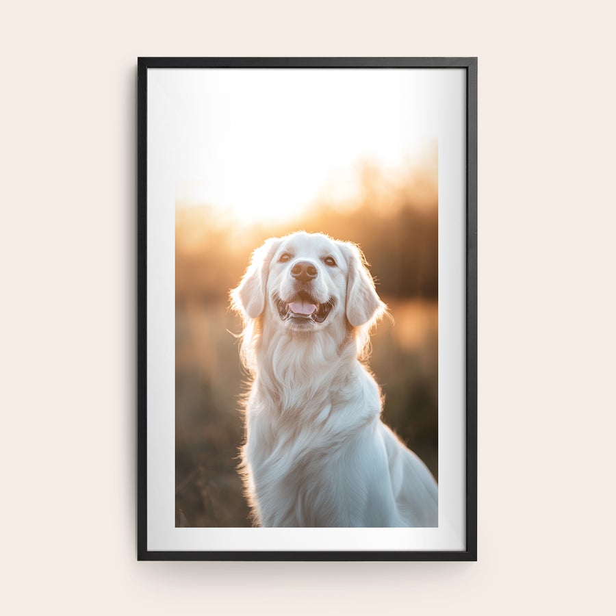 Uokvirjena fotografija Personaliziran plakat z natisnjeno fotografijo psa v črnem okvirju, ki ovekoveči spomin.