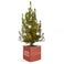 Kleiner Weihnachtsbaum in personalisiertem Topf