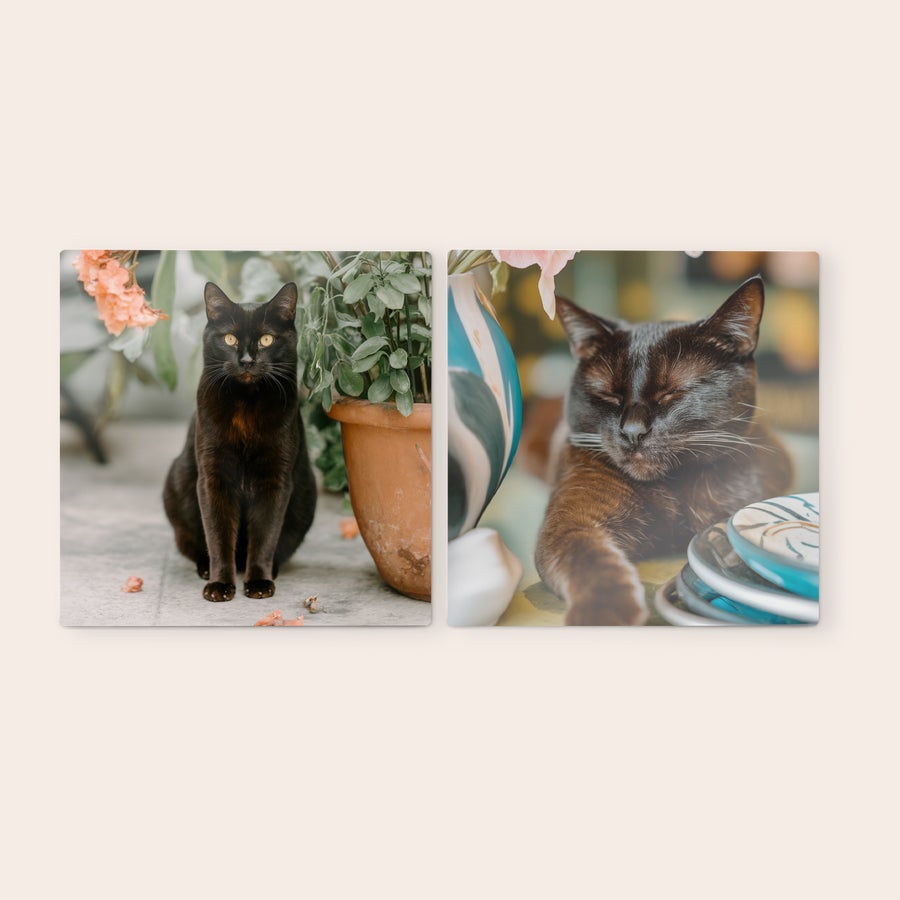 Pannelli Murali Personalizzati Pannelli in legno con foto personalizzata di due gatti neri che decorano la tua parete