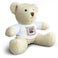 Soft Toy – Billy Bear