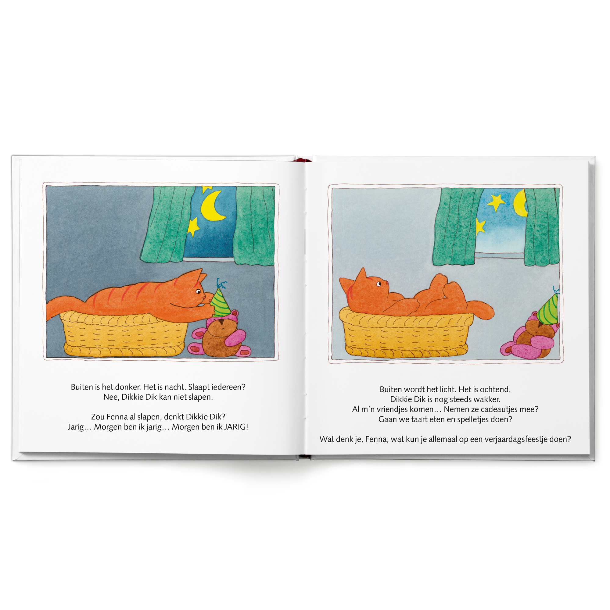 Boek "Dikkie Dik is jarig" met naam