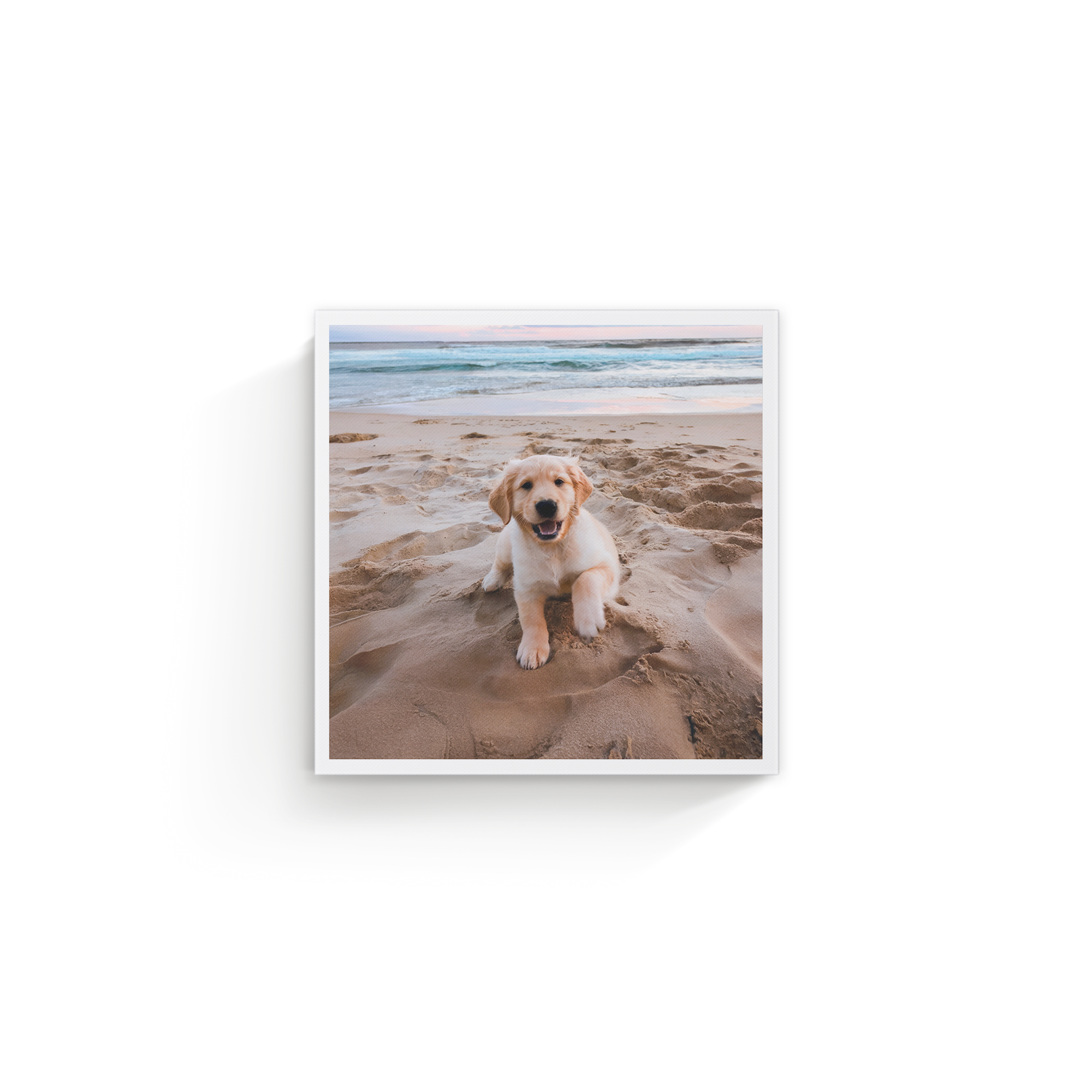 Toile personnalisée imprimée avec la photo d'un chiot golden retriever sur la plage près de l'océan