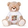 Soft Toy – Mega Bear - brown