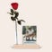 Infinity Rose avec support photo Infinity Rose avec support photo