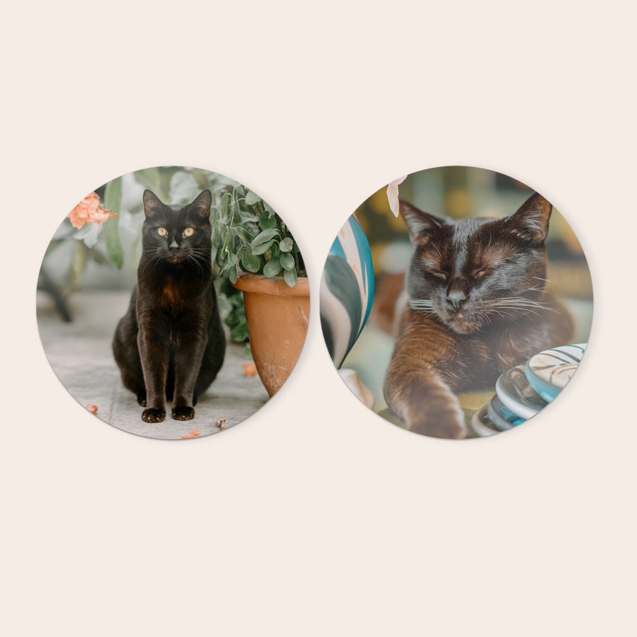 Pannelli Murali Personalizzati Pannelli in legno rotondi con foto di gatti, personalizzati per decora la tua parete con pannelli in legno con il tuo design