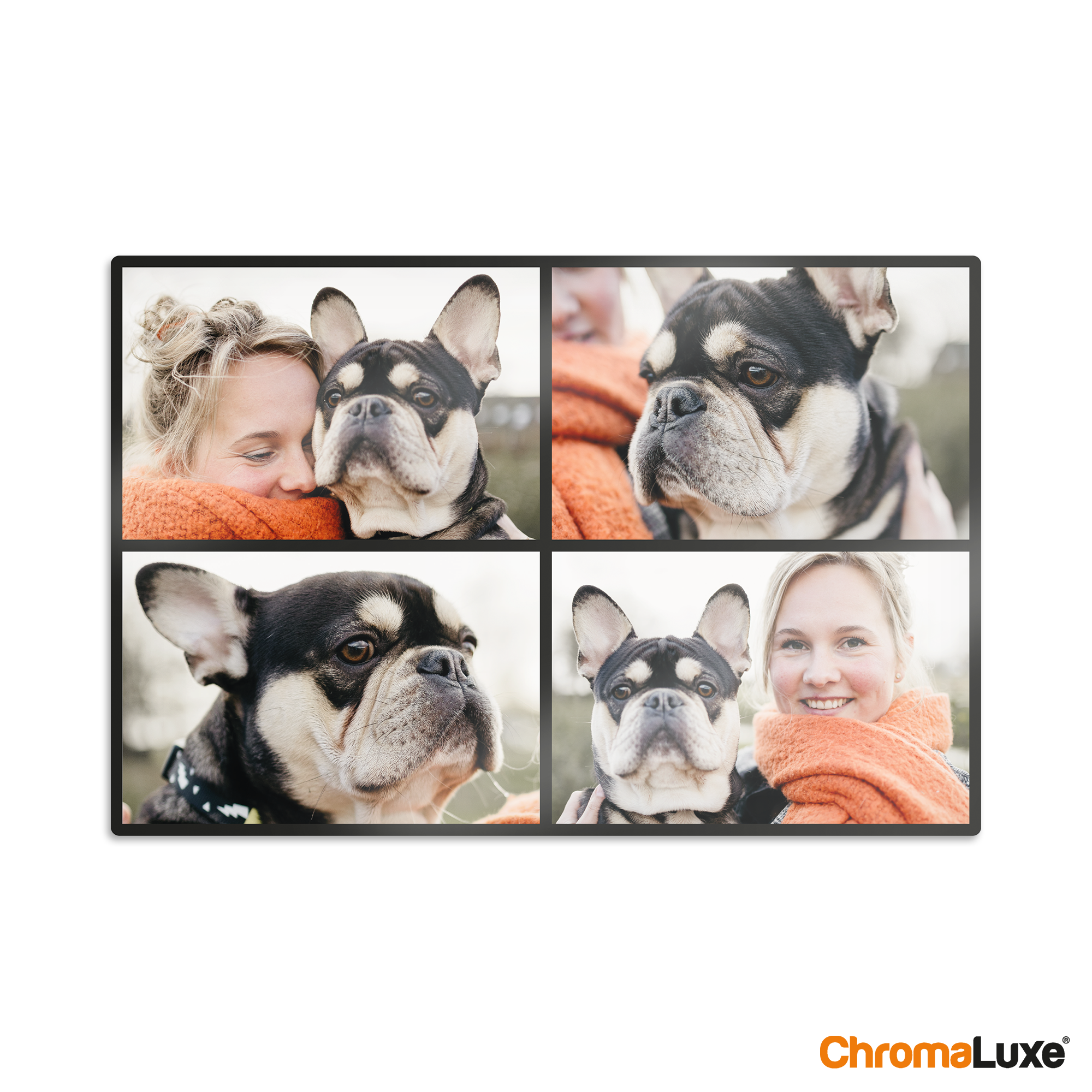 Instagram-fotocollage i aluminium med fire trykte bilder av en kvinne og en hund.