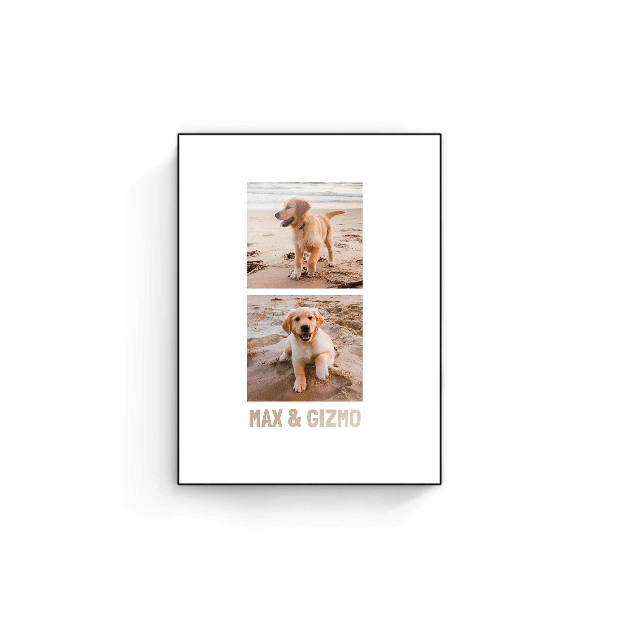 ChromaLuxe drevený panel s vytlačenými dvomi fotografiami šteniatok a textom Max & Gizmo, prekvapte každého
