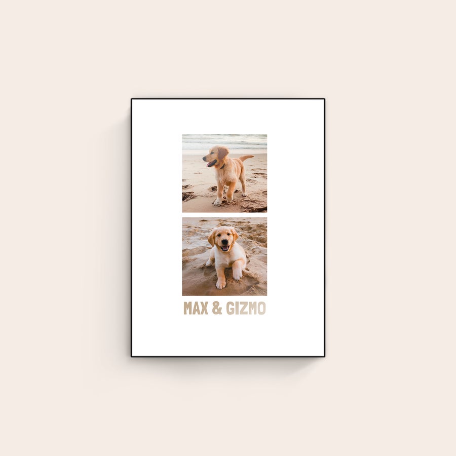 Foto en madera Panel fotográfico de madera ChromaLuxe impreso con dos fotos personalizadas de cachorros en la playa y los nombres Max y Gizmo.