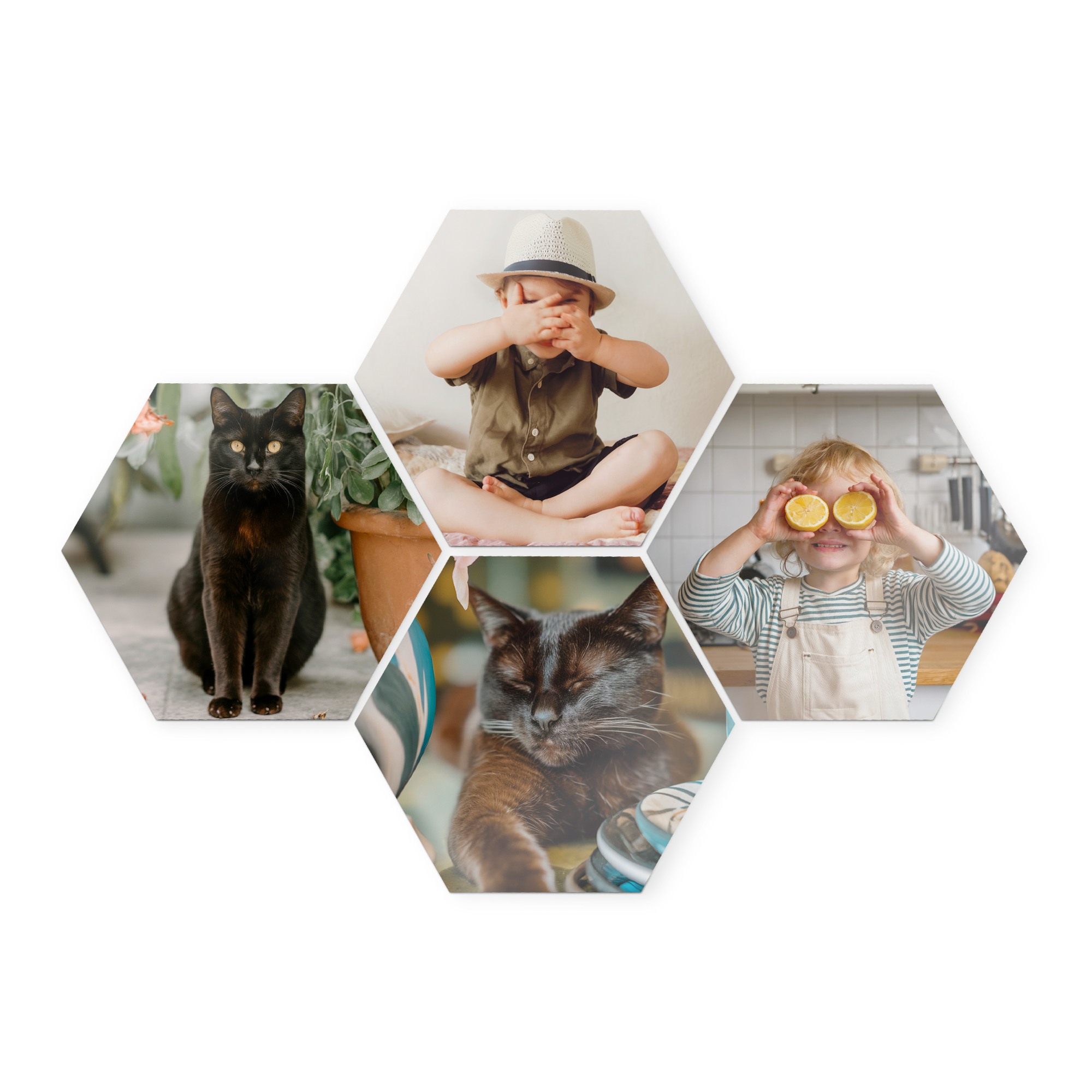 Custom hexagonal wooden wall art panels printed with various personalized photos