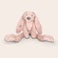 Rabbit Richie Bamse med navn - Kanin Rabbit Richie Bamse med navn - Kanin