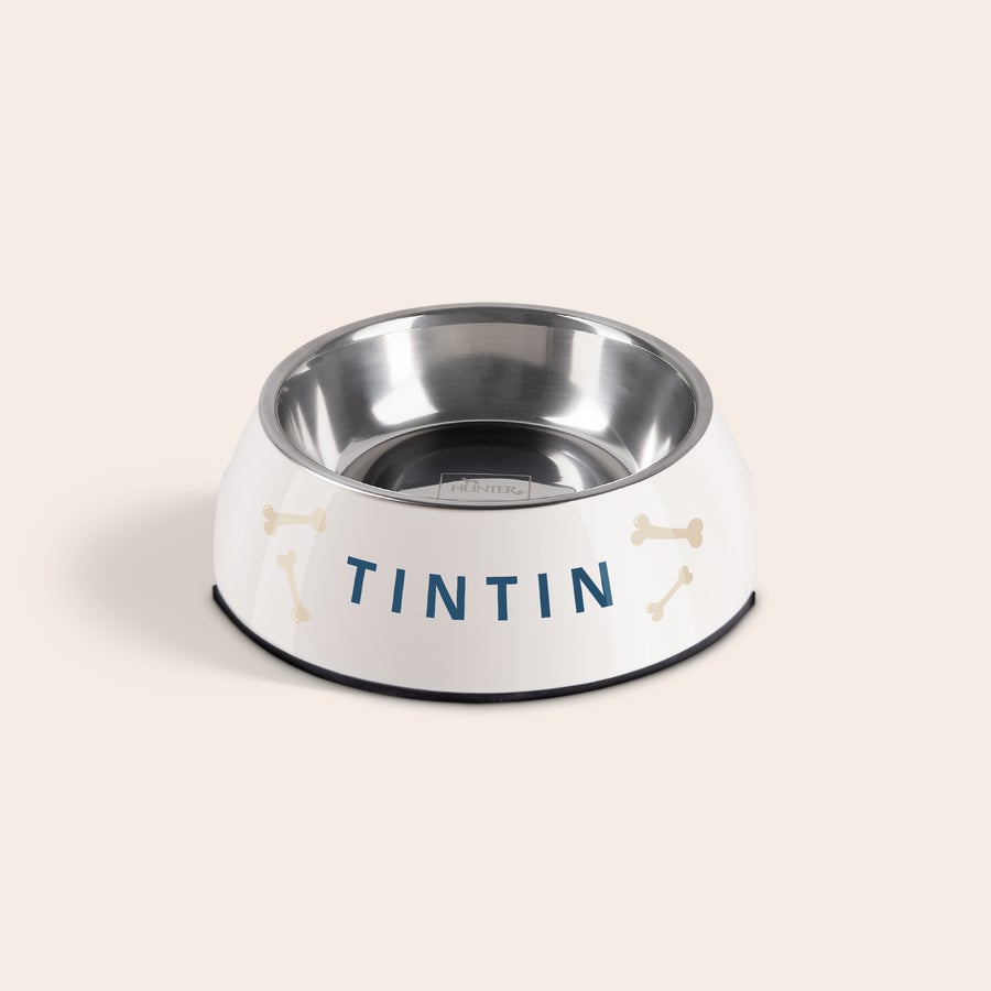 Gamelle pour chien Gamelle pour chien