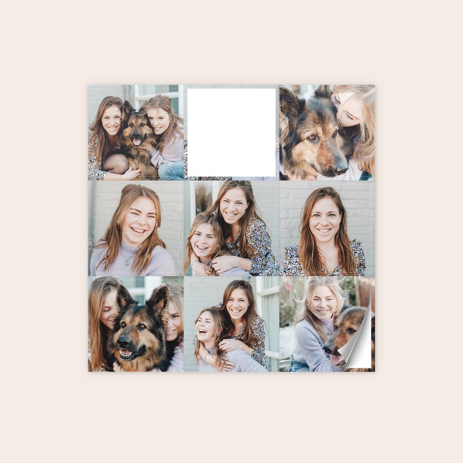 Autocolantes para fotografias Autocolantes personalizados impressos com fotos de mulheres e um cão.