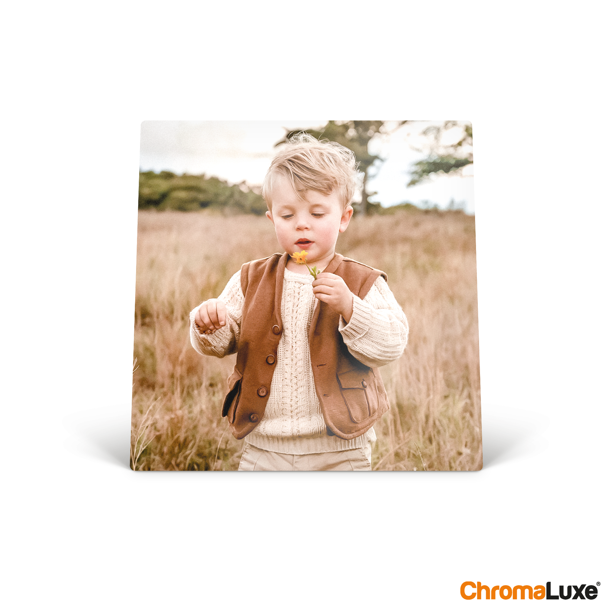 Chromaluxe Alu-Foto mit Bild eines blonden Kleinkindes, Dein schönstes Foto gedruckt auf Aluminium!