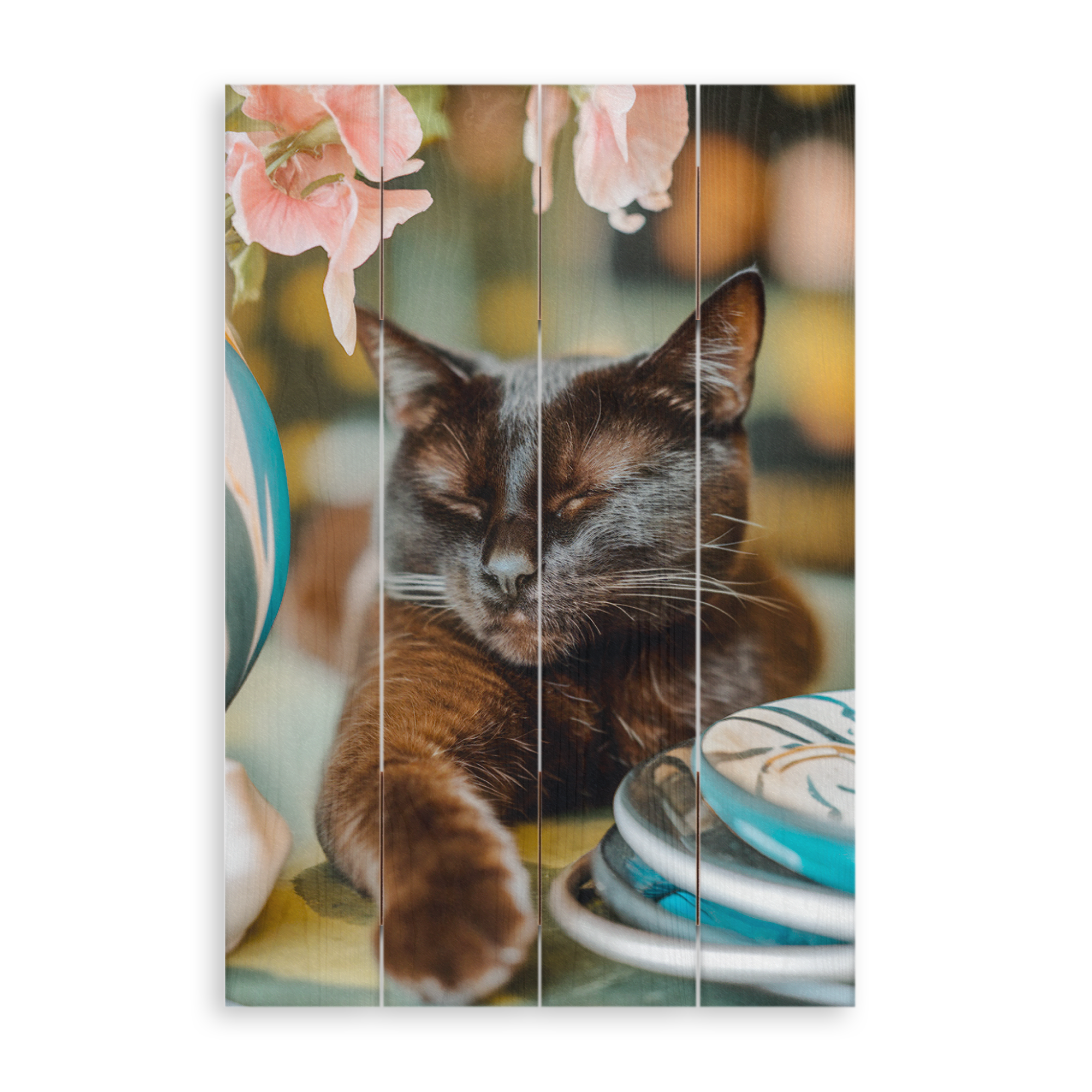 Fotoprint på träplankor med en sovande svart katt och ljusrosa blommor.