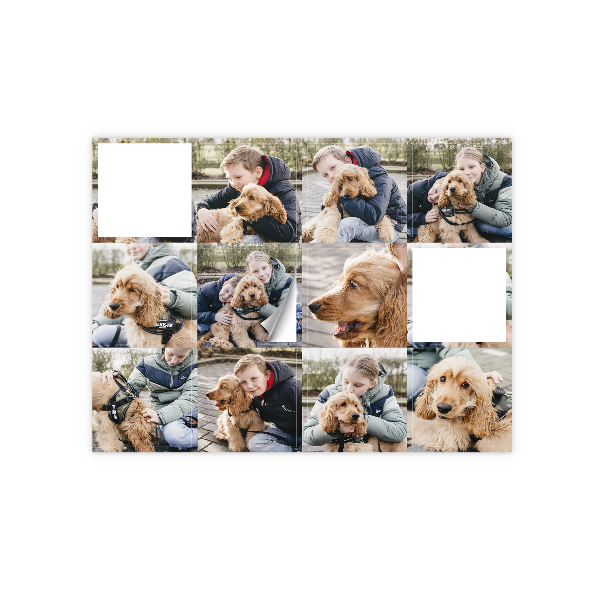 Adesivi personalizzati con collage di foto di un bambino e una bambina che giocano con un cagnolino Cocker Spaniel stampati