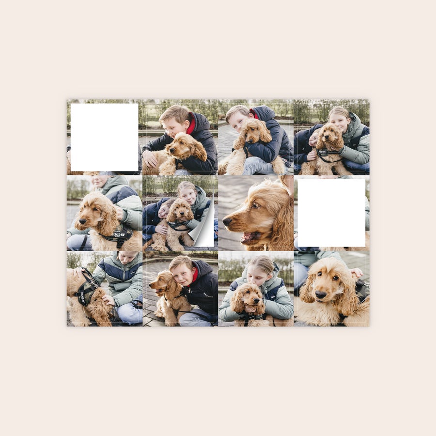 Pegatinas con foto Pegatinas personalizadas impresas con fotos de niños y su perro cocker spaniel.