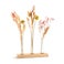 Torkade blommor - 3 vaser - personligt träställ