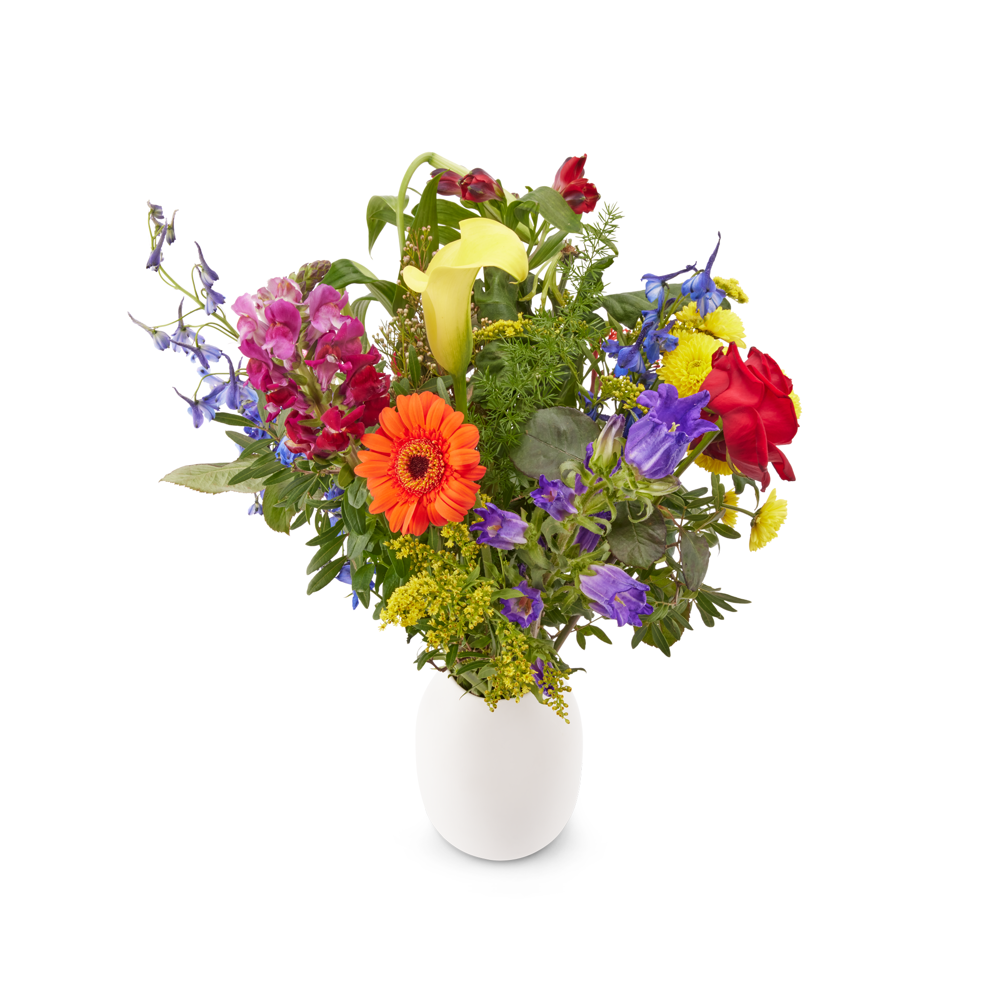 Blumen - Pflückblumen Bunt