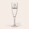 Champagneglas bedrukken - Kunststof - Mydrinkglass Champagneglas bedrukken - Kunststof - Mydrinkglass