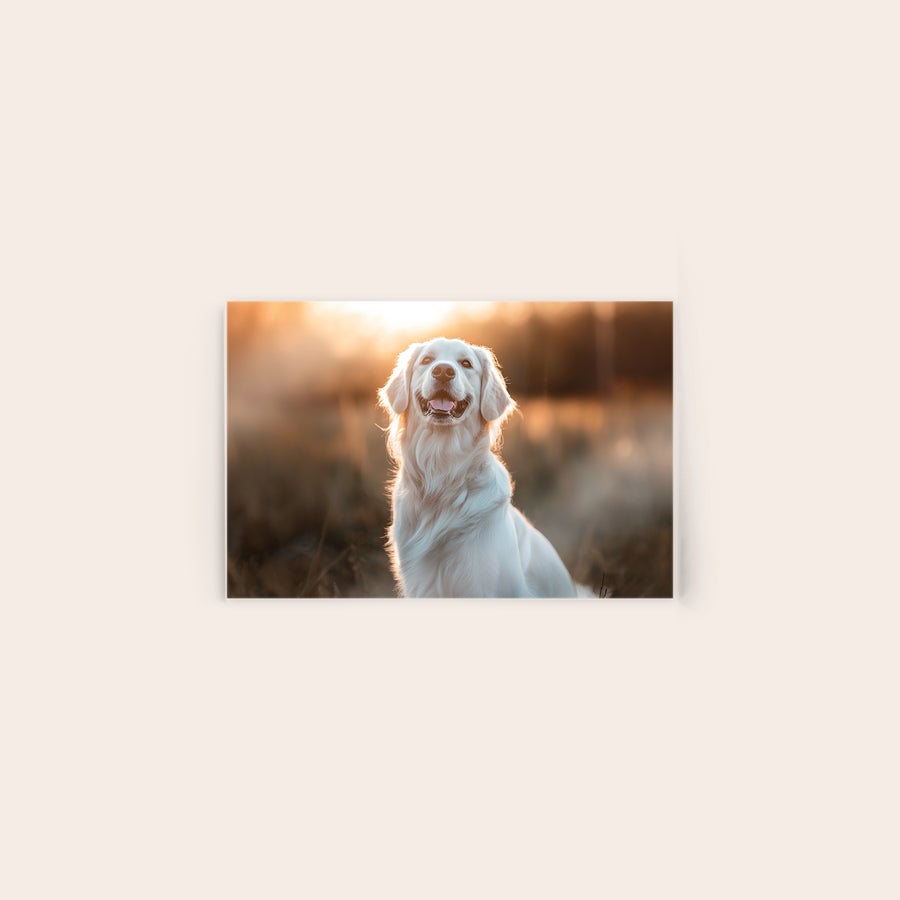 Tableau photo plexiglas Tableau photo plexiglas