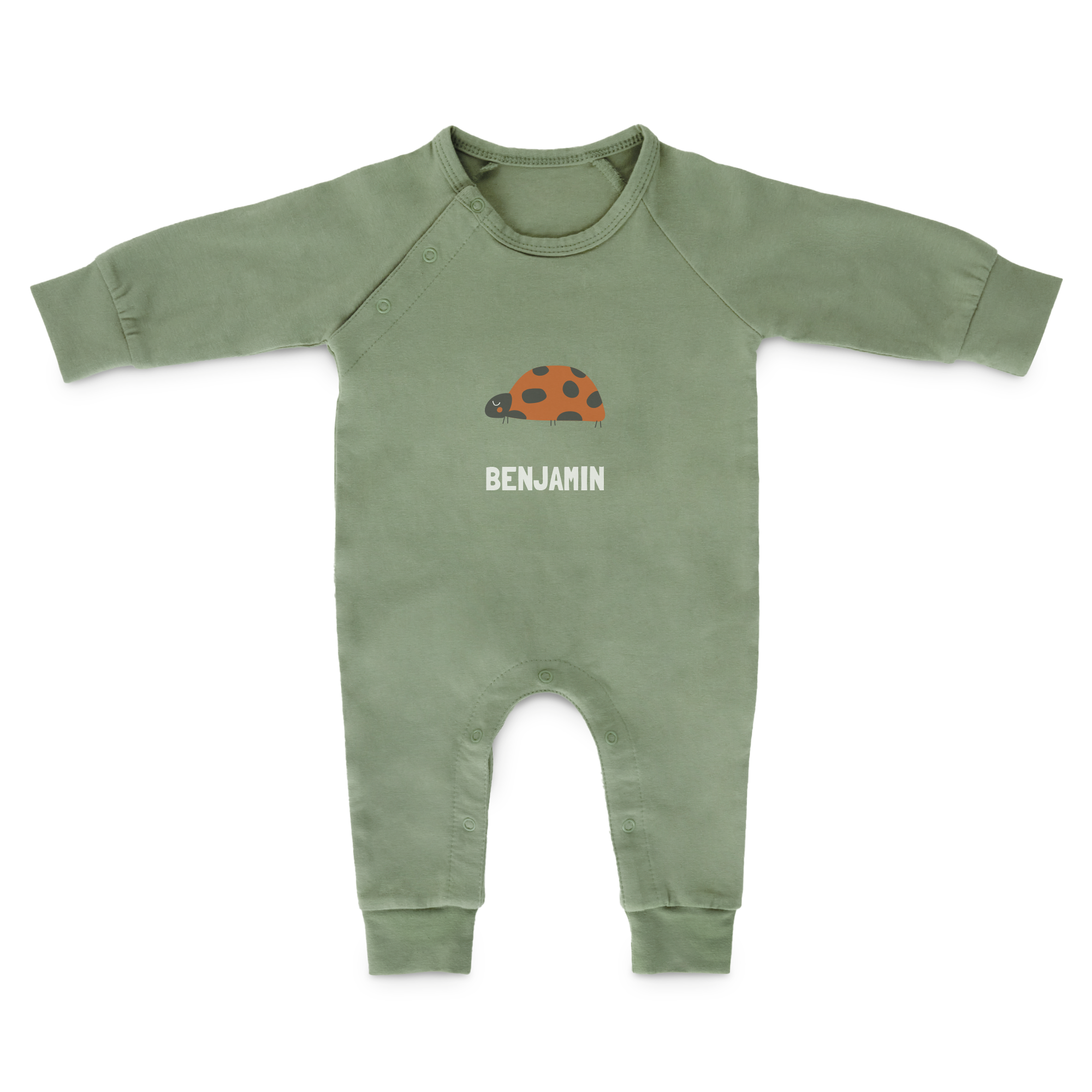 Babygrow verde-claro personalizado com uma joaninha e o nome BENJAMIN. Surpreenda o seu mais pequeno.