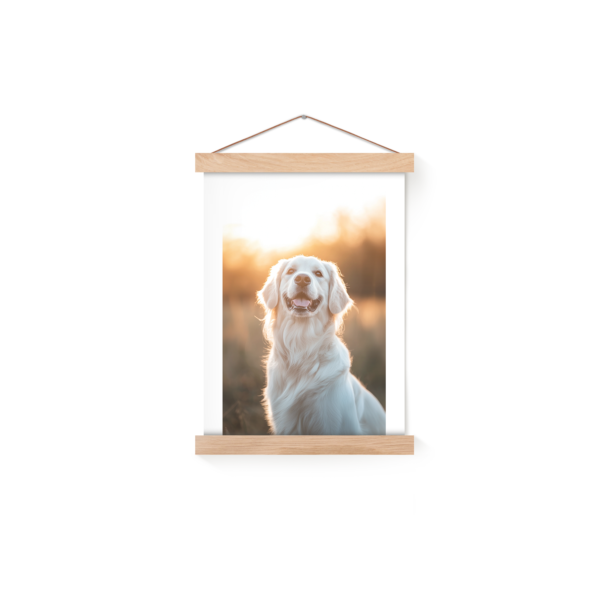 Personalized magnetic poster hanger with a photo of a happy white dog smiling in a field with sunlight