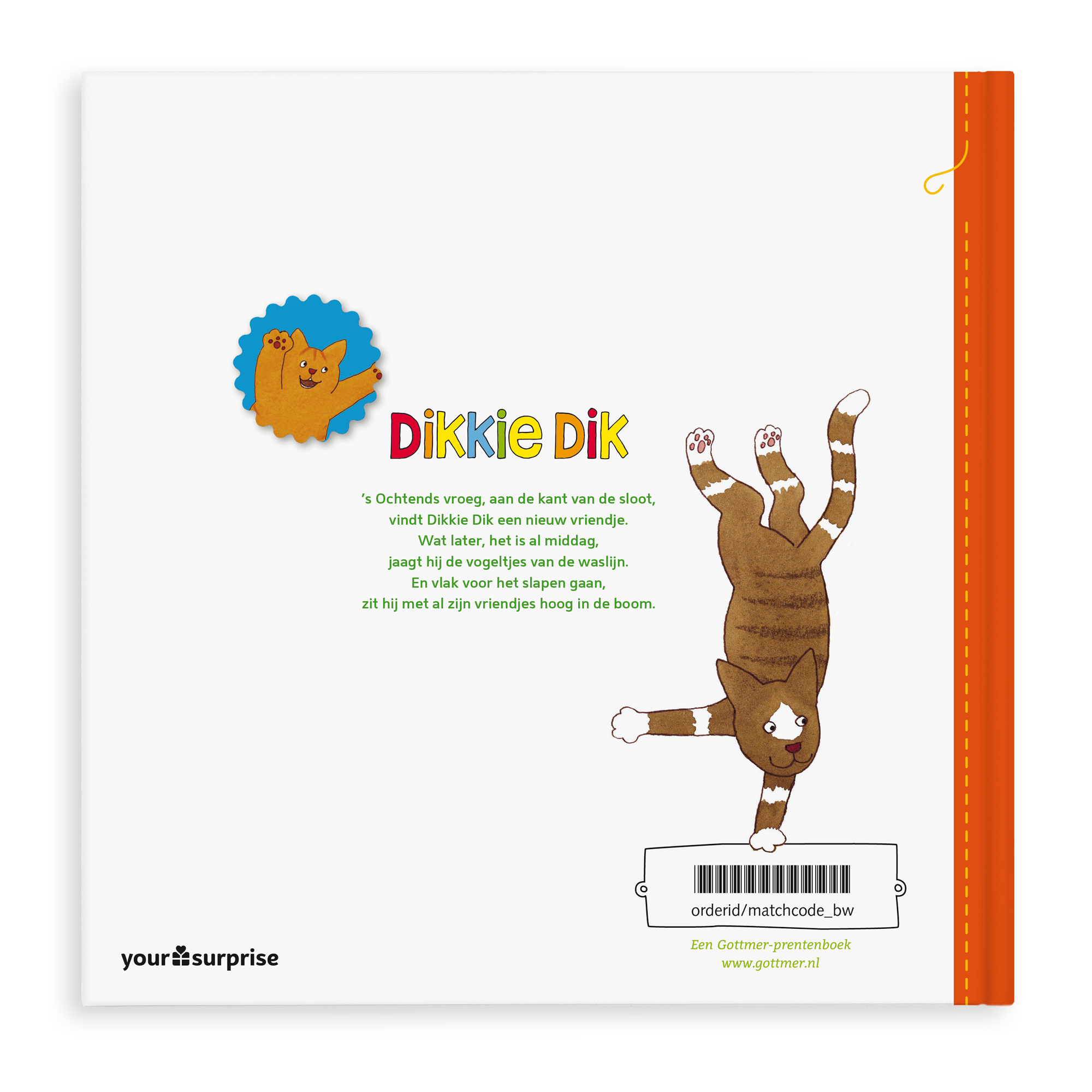 Dikkie Dik boek met eigen naam en illustraties, jij speelt de hoofdrol in dit vrolijke Dikkie Dik boek met drie verhaaltjes.