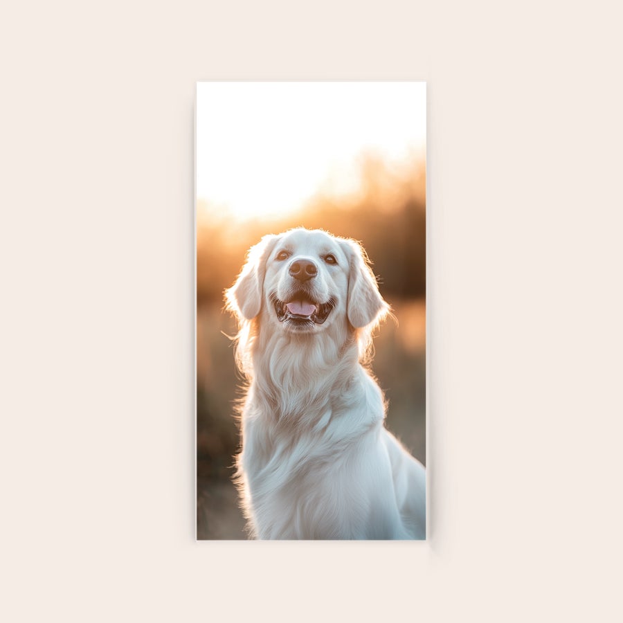 Photo on Acrylic Custom photo on acrylic printed with a golden retriever dog against a bright sunset to immortalize your memorable moment.