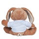 Peluche - Fanfan le Lapin