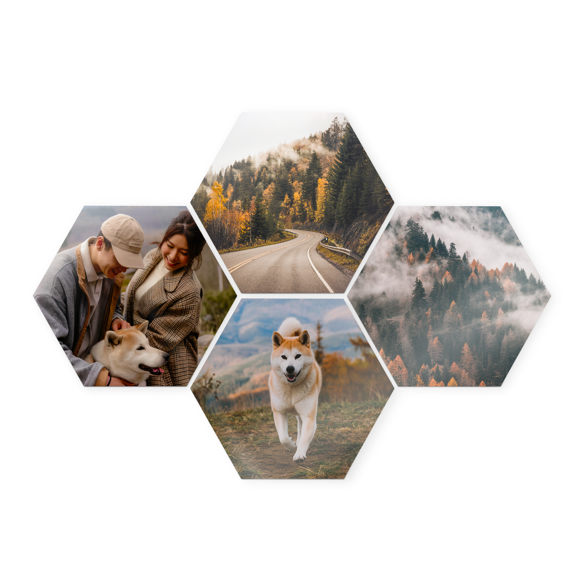 Panneaux muraux hexagonaux personnalisés avec des photos de couple et chien, imprimées pour décorer votre mur