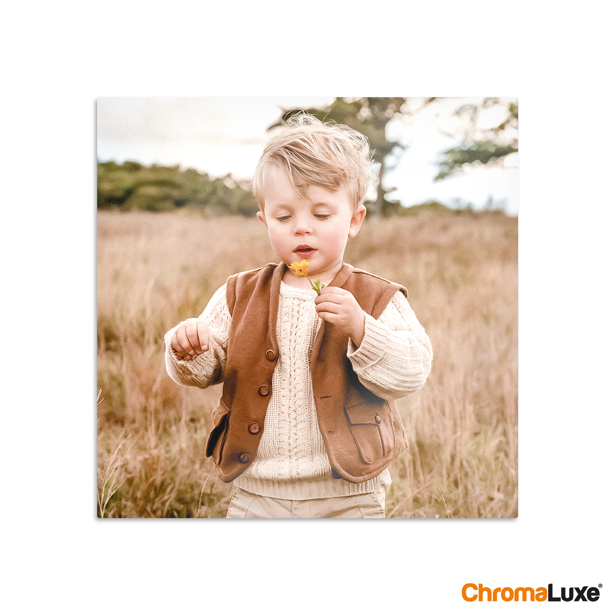 Instacollage aluminium personnalisé avec photo d'un enfant aux cheveux blonds tenant une fleur jaune dans un champ.
