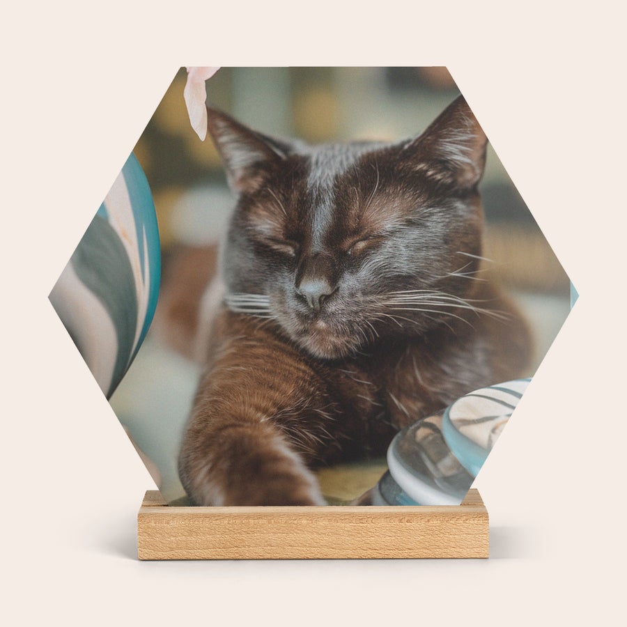 Trykt fotoflis i tre med stativ Seksfotet fotoflis i tre med trykt bilde av en sovende katt på et trestativ.