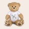 Personalised big teddy bear Personalised big teddy bear