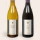 Salentein Pinot Noir & Chardonnay Salentein Pinot Noir & Chardonnay