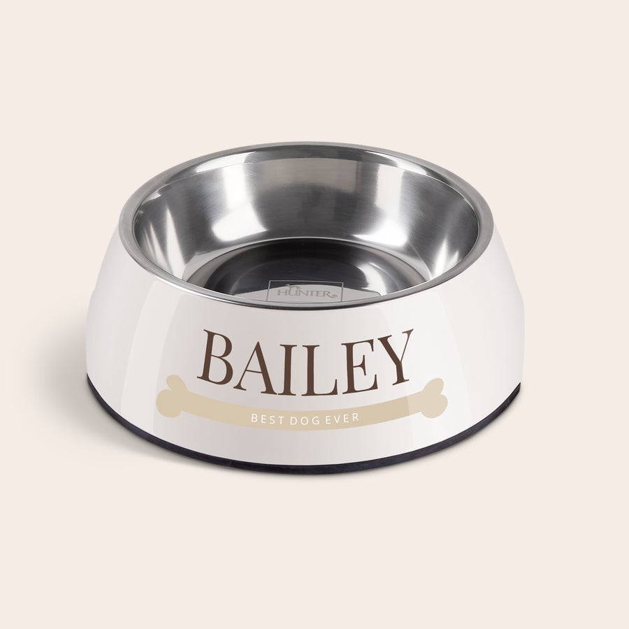 Pes krmení mísa Personalizovaná miska na krmení pro psy s nápisem BAILEY BEST DOG EVER a kostí, bílá s kovovou vložkou