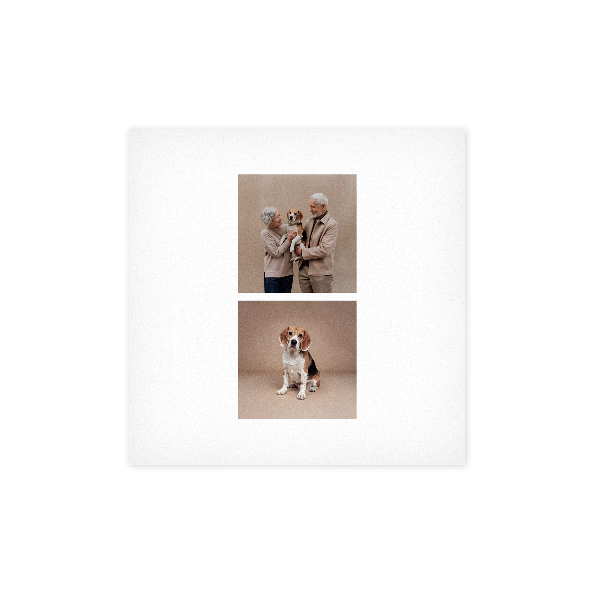 A photo on forex printed with two custom photos, a senior couple with a beagle puppy and a sitting beagle