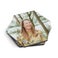 Coasters