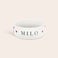 Personalised pet food bowl Personalised pet food bowl