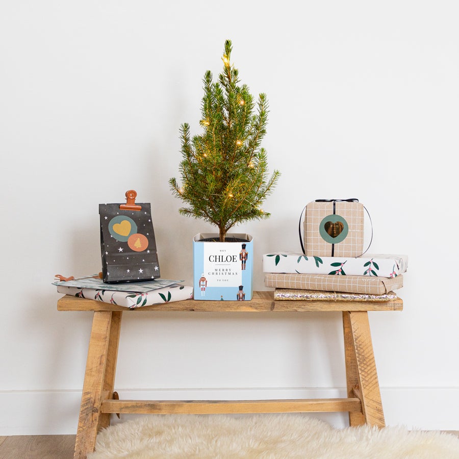 Mini Christmas tree in personalised pot Mini Christmas tree in personalised pot