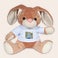 Personlig Blød Legetøj - Bunny Kanin Personlig Blød Legetøj - Bunny Kanin