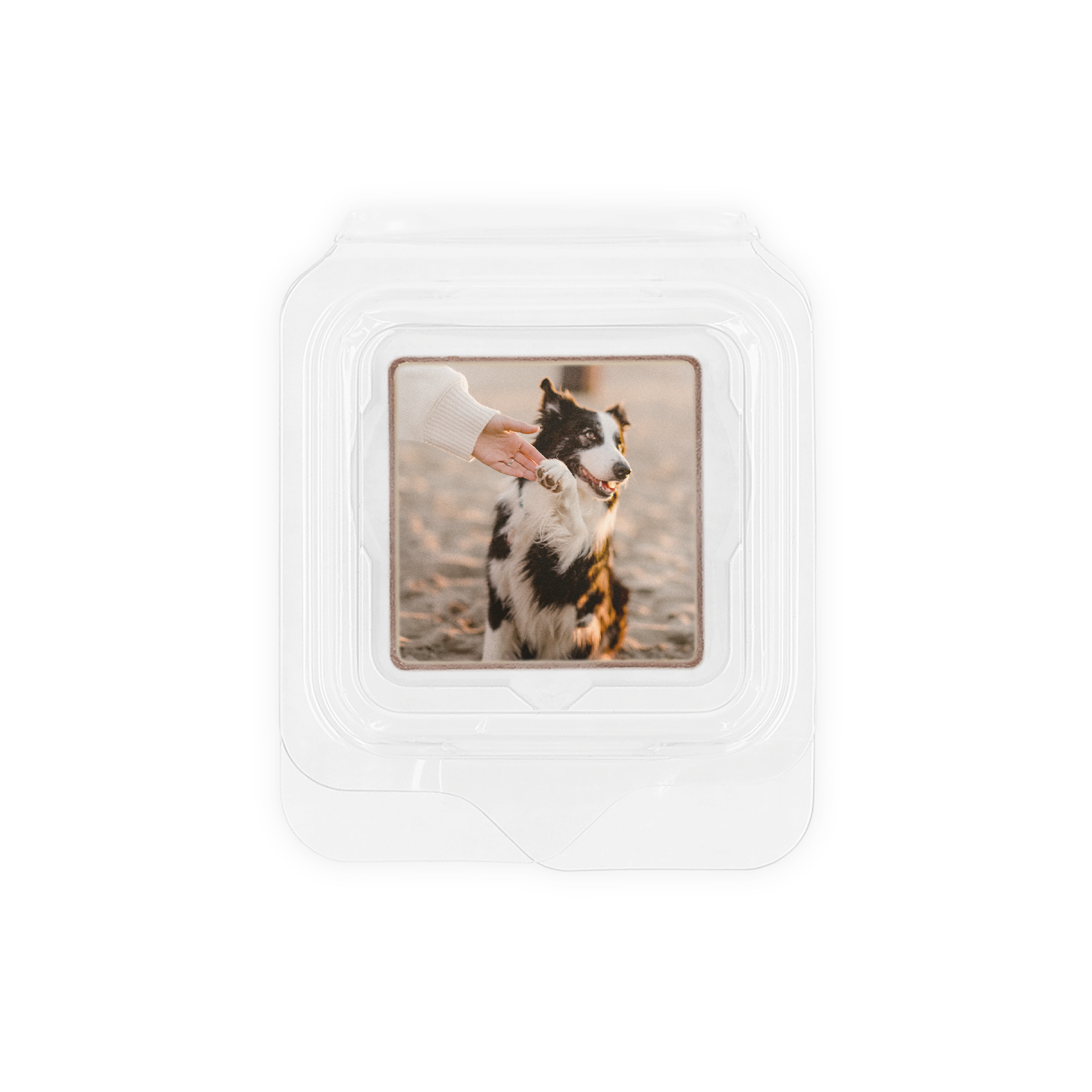 Cioccolatino singolo in confezione trasparente personalizzato con la foto di un cane. La bomboniera più deliziosa con foto o logo