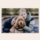 Puzzel met foto groot Puzzel met foto groot