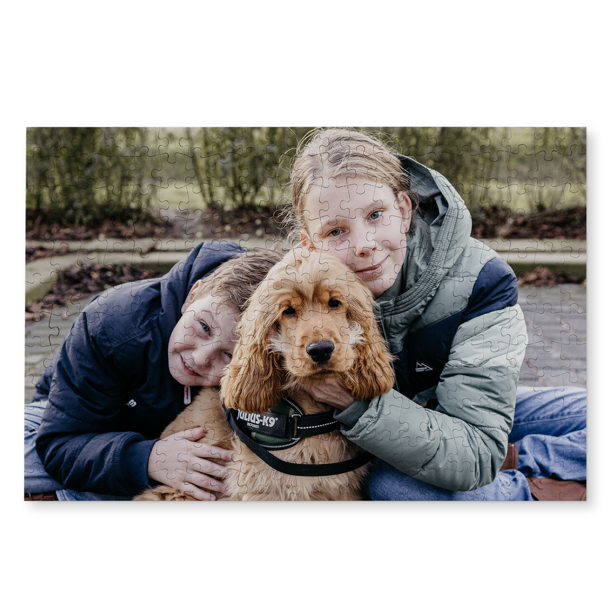 Rompecabezas de 250 piezas personalizado con foto de dos niños y su perro cocker spaniel.