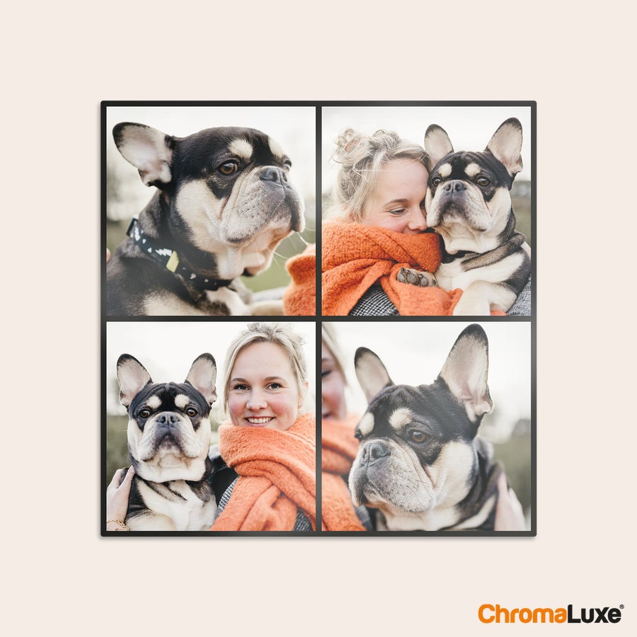 Photo sur aluminium - Instacollage Instacollage en aluminium avec quatre photos personnalisées d'une femme et de son bouledogue français, pour vos photos Instagram
