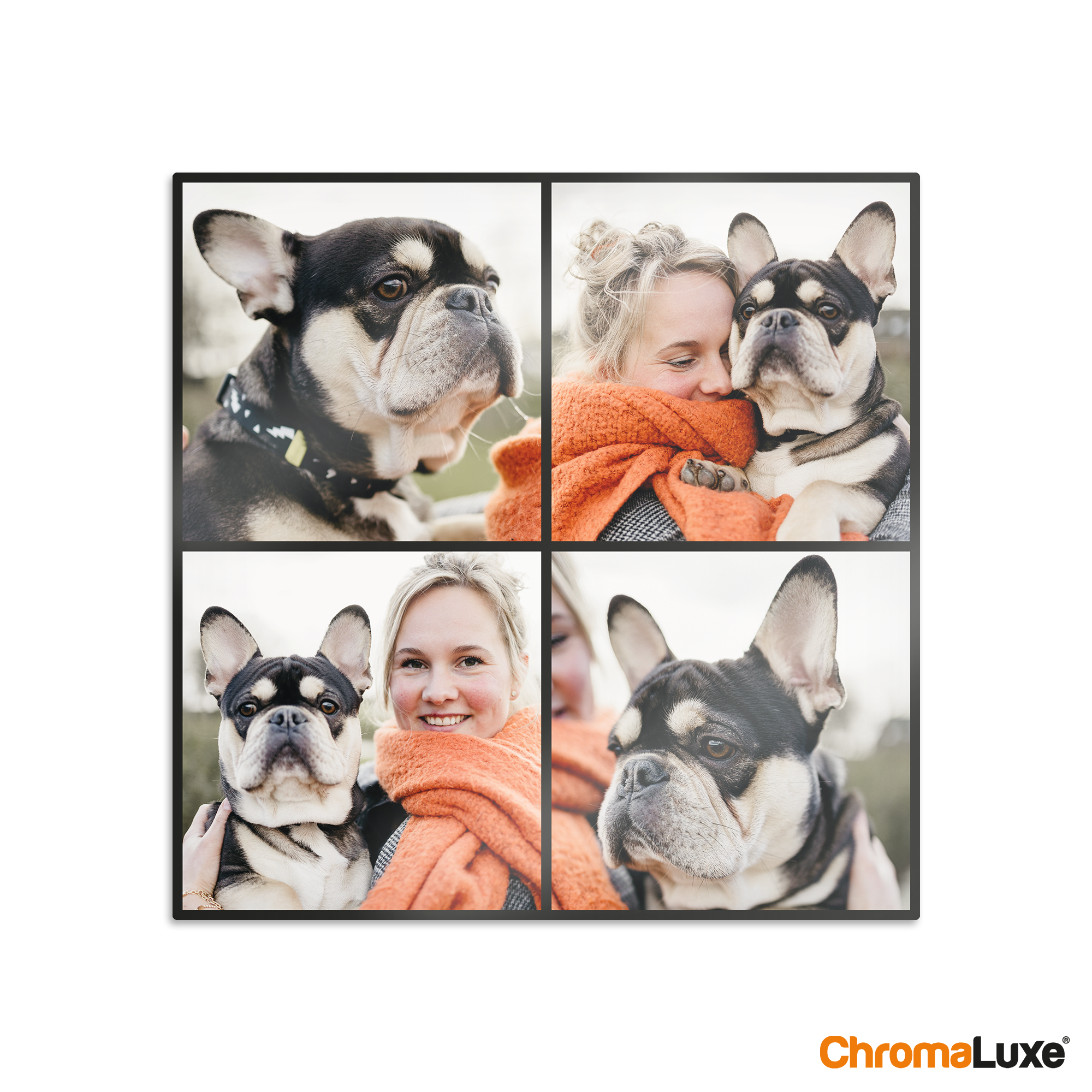 Instagram-fotokollasje i aluminium med fire personlige bilder av en dame og en fransk bulldog