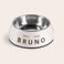 Gamelle pour chien Gamelle pour chien