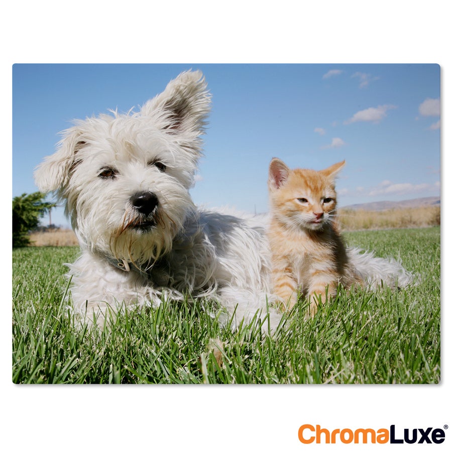 Aluminiowe odbitki - bia�e (Chromaluxe)