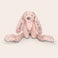 Rabbit Richie Bamse med navn - Kanin Rabbit Richie Bamse med navn - Kanin